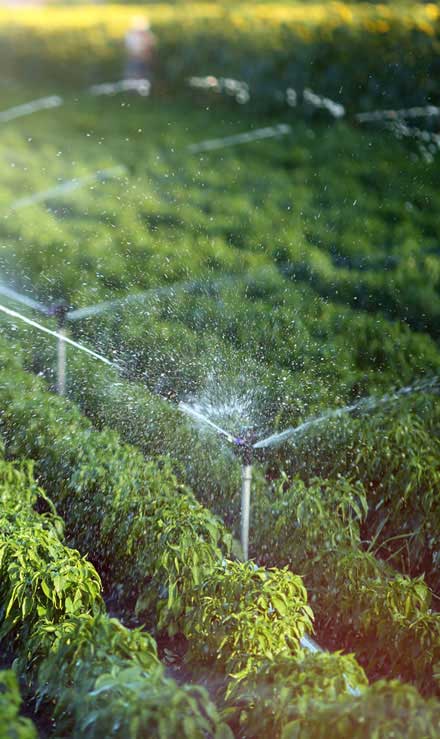 Sun Star Landscaping LLC Irrigation System Repair